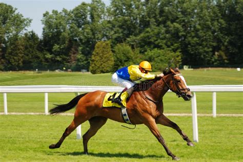 cheval de course au départ