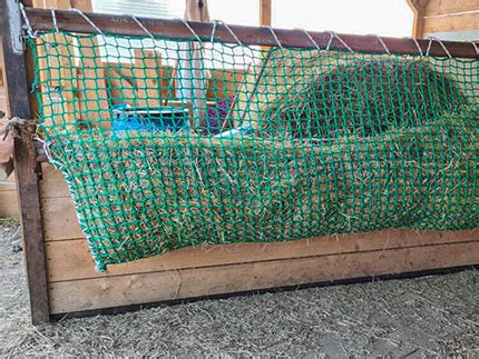 Cheval mangeant dans un filet à foin