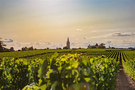 Vignoble de Saint-Emilion
