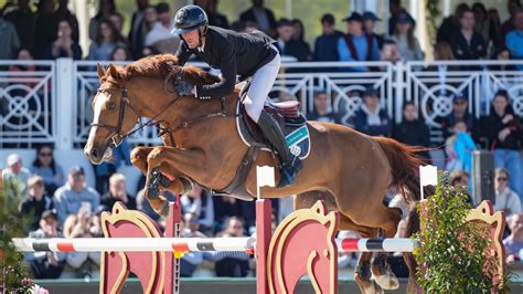 Cheval franchissant une série d'obstacles en ligne