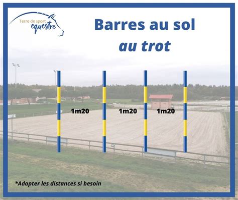 Diagramme d'une ligne de croix au trot avec barres au sol et verticaux