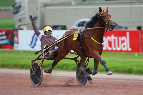 Ino du Lupin en course sur l'hippodrome de Vincennes