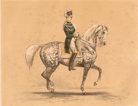 Histoire de l'équitation militaire
