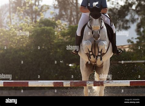 Cavalier effectuant des tractions