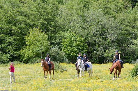 Jeunes filles campant avec leurs chevaux dans un cadre naturel