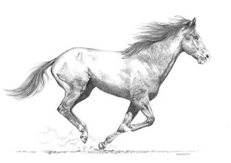 Un dessin détaillé d'un cheval au galop dans un paysage naturel