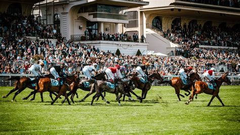 Chevaux de course au départ