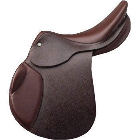 Cheval en extérieur avec une selle marron