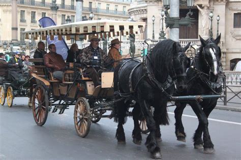 Défilé de chevaux Percherons à la Fête du Cheval