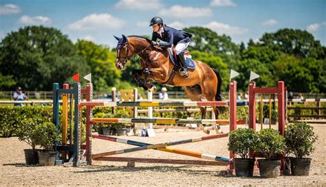 Cavaliers et chevaux lors d'une compétition de saut d'obstacles
