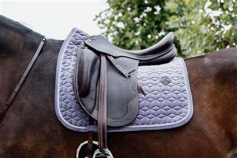 Cheval au dressage avec un tapis de selle violet