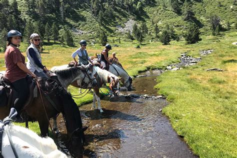 Randonnée équestre en montagne