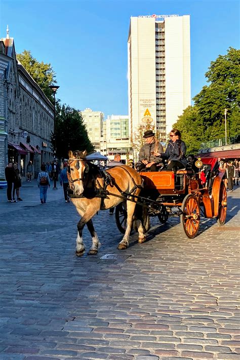 Une calèche touristique traversant une rue de Malaga