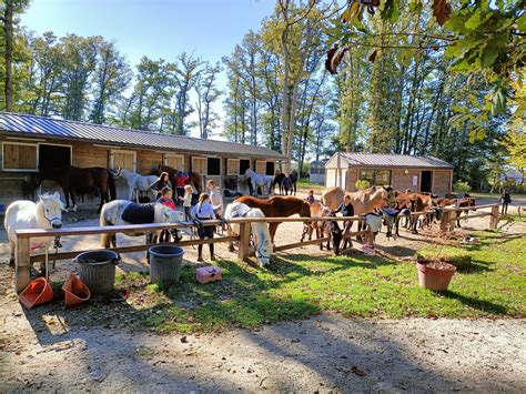 Vue d'ensemble des Écuries du Clos avec des chevaux dans leurs paddocks