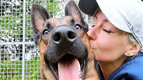 Chien mesuré par son propriétaire