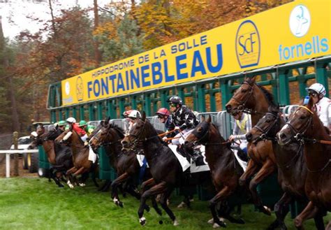 Famille regardant les chevaux dans le paddock à l'hippodrome de Fontainebleau