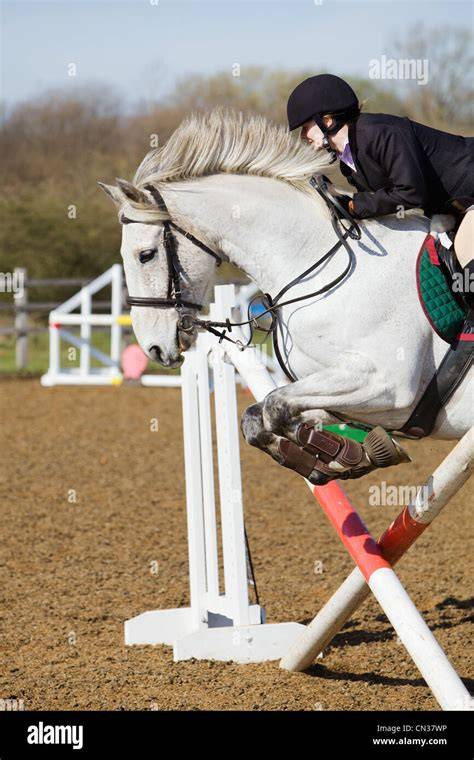 Cheval et cavalier en extérieur lors d'une randonnée