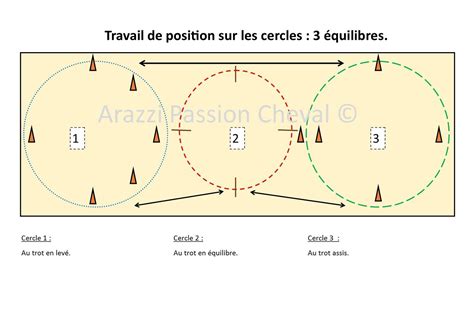 Cavalier effectuant un cercle au trot