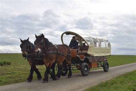 Calèche tirée par deux chevaux dans les rues pavées de Florence