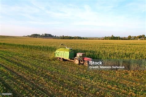 Champ de maïs avec un tracteur épandant du lisier