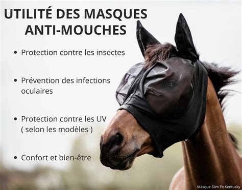 Graphique montrant l'efficacité d'un masque anti-mouches contre les UV