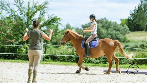 Cheval en cours de réhabilitation