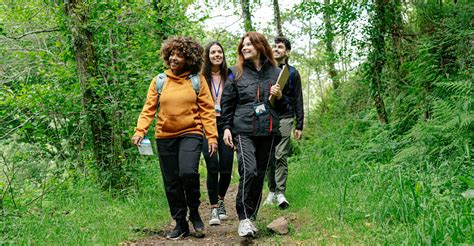 Groupe de cavaliers en randonnée sur un sentier