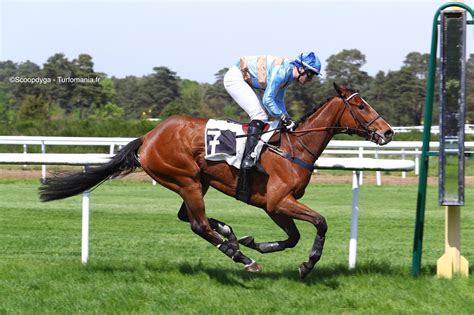Photo d'un jockey et de son cheval lors d'une course