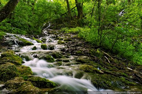 Cavalier franchissant un petit ruisseau en forêt