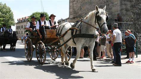 Cortège de calèches et cavaliers en costume