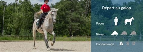 Diagramme des aides au départ au galop