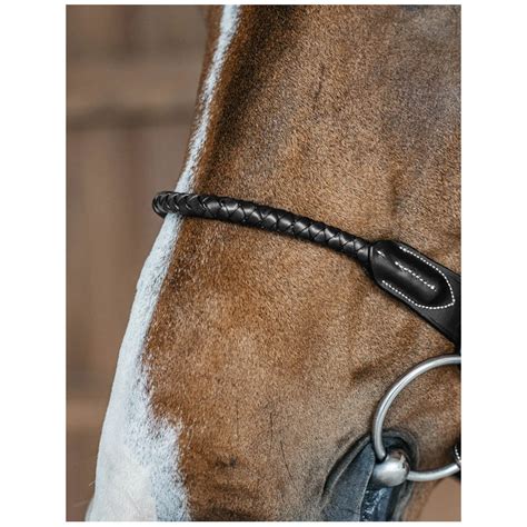 Gros plan sur la muserolle rembourrée d'un bridon