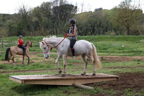 Cheval franchissant un obstacle de Mountain Trail