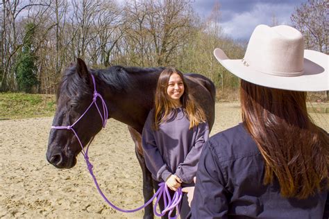 Couple cavalier-cheval profitant d'une sortie en extérieur