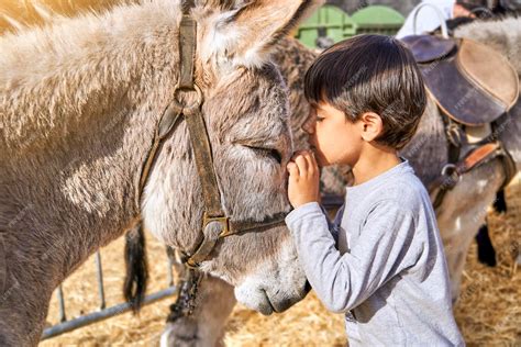 Enfants caressant un poney dans une ferme