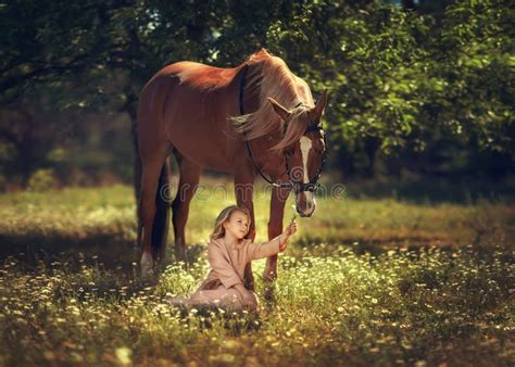 Jeune fille pansant un cheval avec soin dans une écurie propre et lumineuse