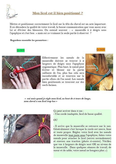 Schéma illustrant le risque d'étranglement avec un licol éthologique