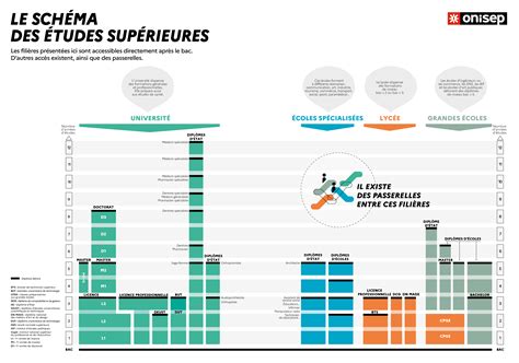 Infographie montrant les différentes voies de carrière possibles après des études en éthologie.