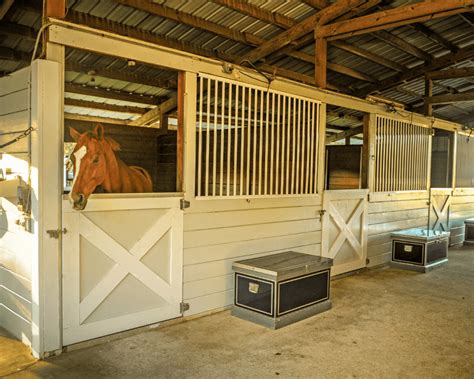 Apprentis travaillant dans une écurie
