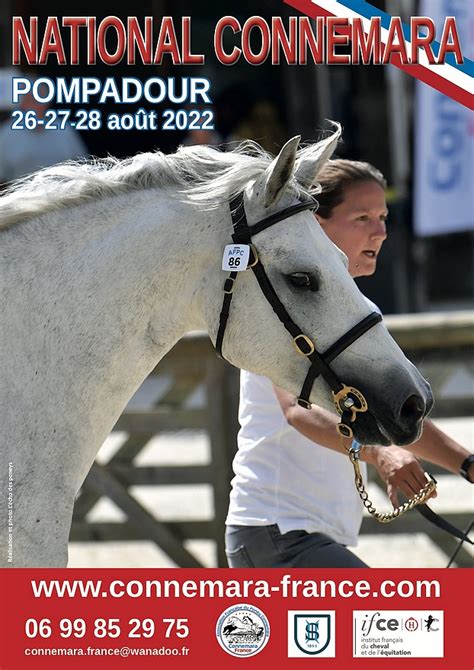 Gingersnap Melody, Championne Suprême du National Connemara