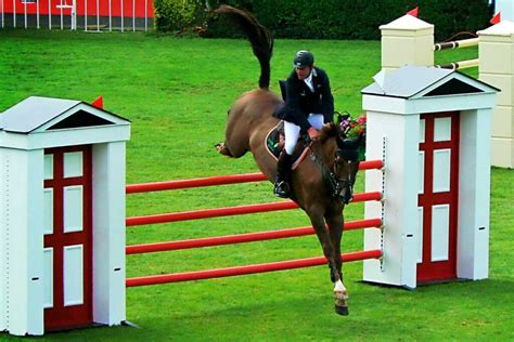 Cheval en pleine action lors d'un saut d'obstacles