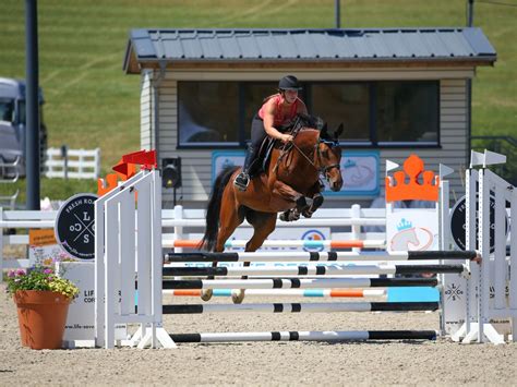 Concours de saut d'obstacles