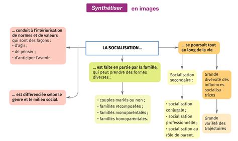 Graphique montrant l'évolution des publications sur la socialisation politique au fil du temps