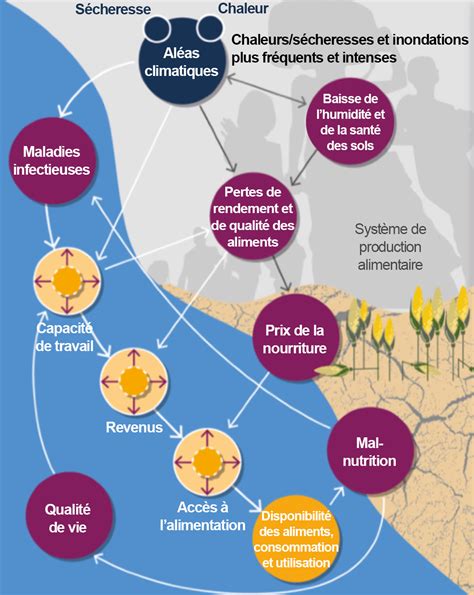Schéma des influences climatiques sur l'Île-de-France
