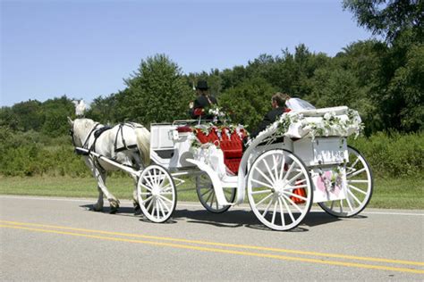 Une calèche de mariage élégante tirée par des chevaux blancs