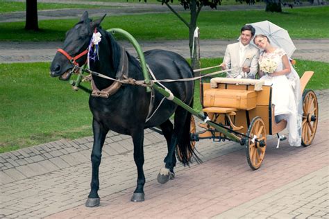 Une calèche Victoria bleue pour un mariage