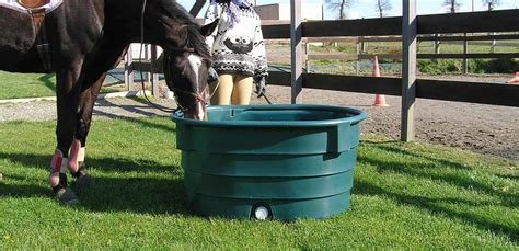 Bac à niveau constant pour chevaux