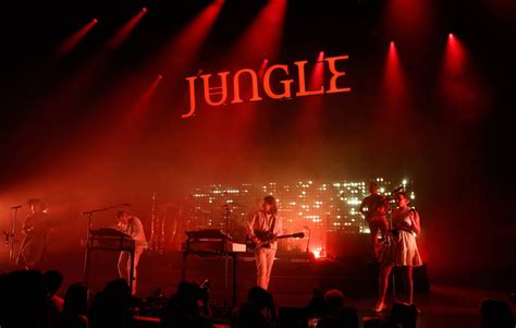 Groupe Jungle en concert
