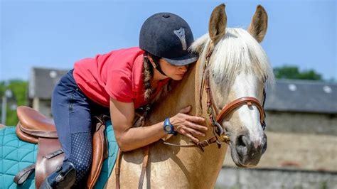 Photo d'un cavalier caressant un cheval avec douceur