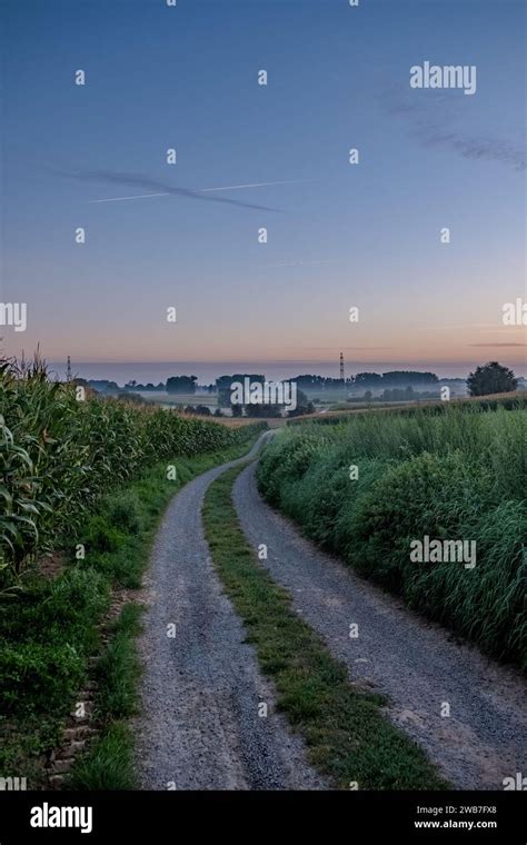 Paysage rural de l'Aube avec des champs verdoyants et un ciel bleu